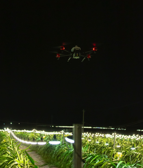 夜間水稻直播、果樹植保